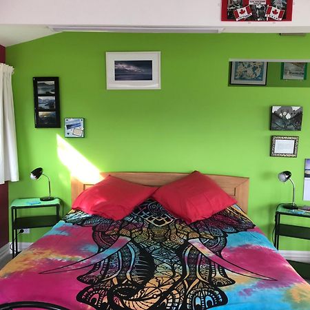 Piringa Bed & Breakfast Dunedin Ngoại thất bức ảnh